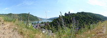 FZ017579-83 Flowers over Bacharach and Burg Stahleck.jpg